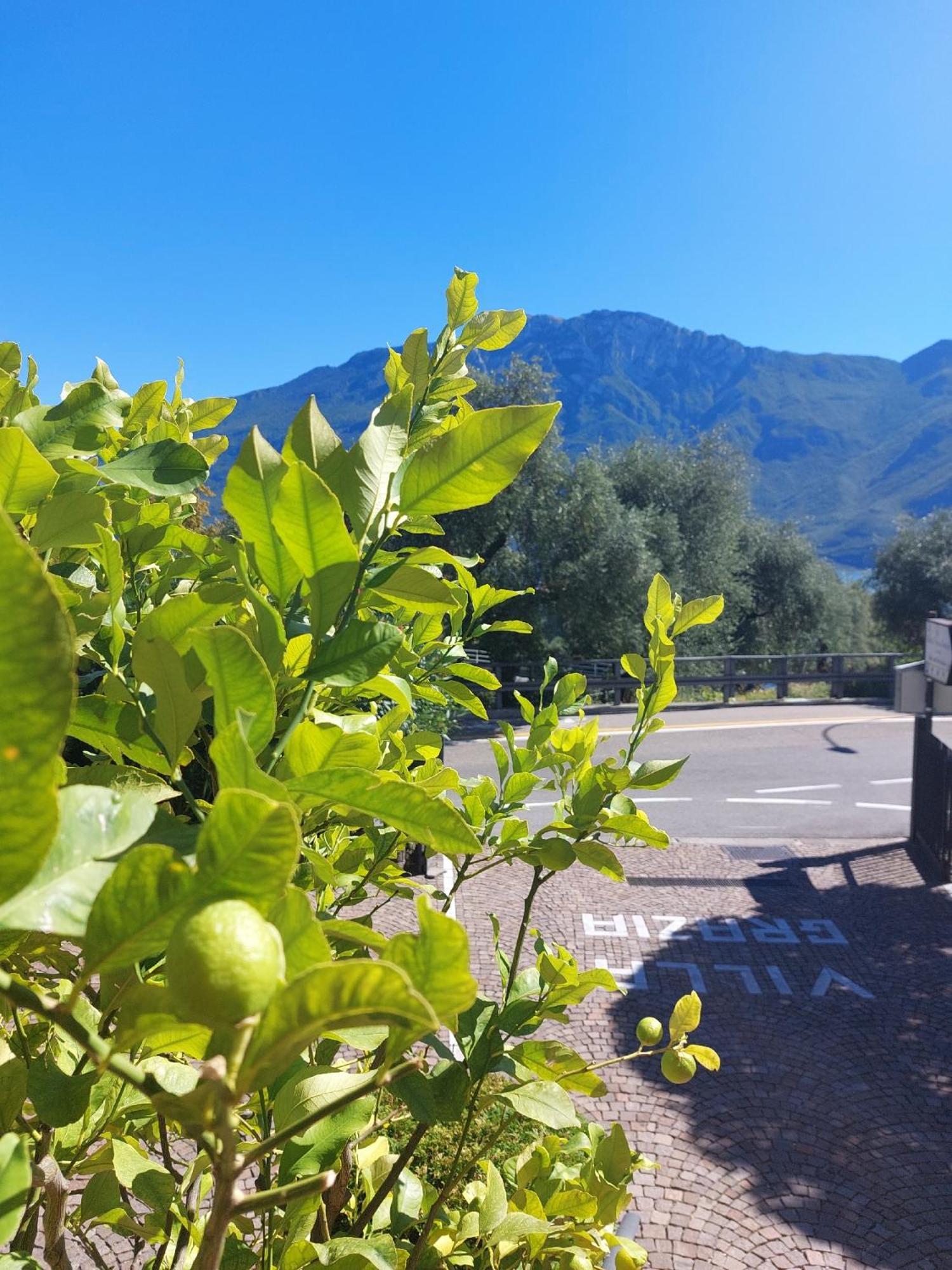 Grazia Limone sul Garda